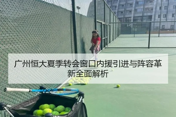 广州恒大夏季转会窗口内援引进与阵容革新全面解析（9 GAME SPORTS）